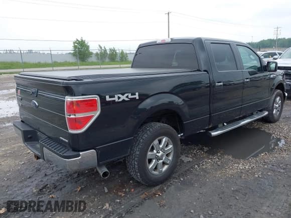 ✅ 2013 Ford F-150 XL • VIN: 1FTFW1EF4DFB58310 • Лот: 42459924. Опубликован ранее на IAAI с пробегом 139 059 миль. Бесплатный доступ к архиву аукционных продаж из США и подробный отчёт об истории автомобиля на DreamBid. Изображение 4.