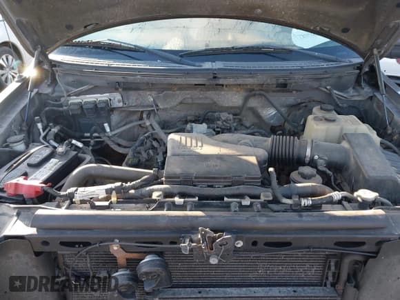 ✅ 2009 Ford F-150 XL • VIN: 1FTRF12W89KB47780 • Lot: 41720708. Listed on IAAI with 138,136 mi. Free auction sales archive from the USA and detailed vehicle history report at DreamBid. Image 10.