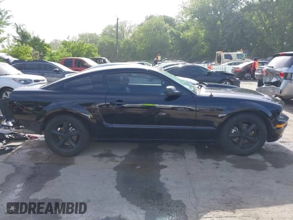 ✅ 2009 Ford Mustang GT • VIN: 1ZVHT82H495106704 • Лот: 42255540. Опубликован ранее на IAAI с пробегом 61 588 миль. Бесплатный доступ к архиву аукционных продаж из США и подробный отчёт об истории автомобиля на DreamBid. Изображение 14.
