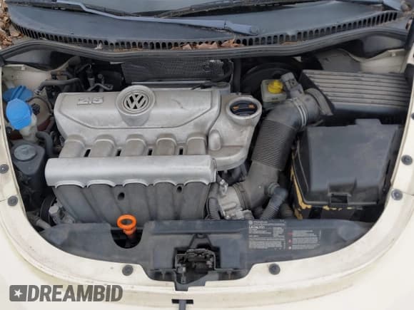 ✅ 2008 Volkswagen Beetle SE • VIN: 3VWRF31Y88M418713 • Lot: 42884556. Listed on IAAI with 128,689 mi. Free auction sales archive from the USA and detailed vehicle history report at DreamBid. Image 10.