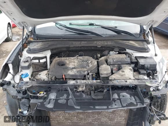 ✅ 2020 Hyundai Santa Fe Limited • VIN: 5NMS53AD9LH204460 • Lot: 42481221. Wystawiony na IAAI z przebiegiem 86 955 mil. Bezpłatny archiwum sprzedaży aukcyjnych z USA i szczegółowy raport historii pojazdu na DreamBid. Zdjęcie 10.