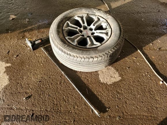 ✅ 2025 GMC Sierra 1500 SLT • VIN: 1GTUUDED4SZ288404 • Лот: 91294605. Опубликован ранее на Copart с пробегом 15 543 миль. Бесплатный доступ к архиву аукционных продаж из США и подробный отчёт об истории автомобиля на DreamBid. Изображение 13.