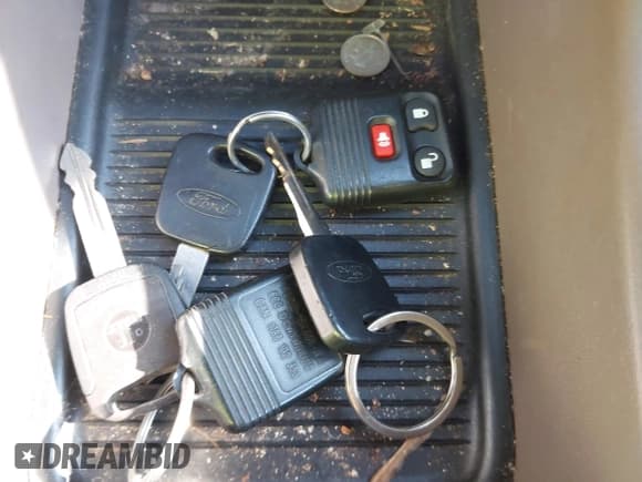 ✅ 1999 Ford Expedition XLT • VIN: 1FMPU18L4XLB11484 • Lot: 43763647. Wystawiony na IAAI z przebiegiem 229 291 mil. Bezpłatny archiwum sprzedaży aukcyjnych z USA i szczegółowy raport historii pojazdu na DreamBid. Zdjęcie 11.