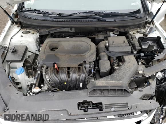 ✅ 2019 Hyundai Sonata SE • VIN: 5NPE24AF9KH781567 • Lot: 42232913. Listed on Copart with 34,154 mi. Free auction sales archive from the USA and detailed vehicle history report at DreamBid. Image 11.