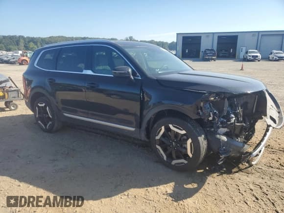 ✅ 2024 Kia Telluride EX • VIN: 5XYP34GC2RG486251 • Lot: 84615965. Listed on Copart with 36,950 mi. Free auction sales archive from the USA and detailed vehicle history report at DreamBid. Image 4.