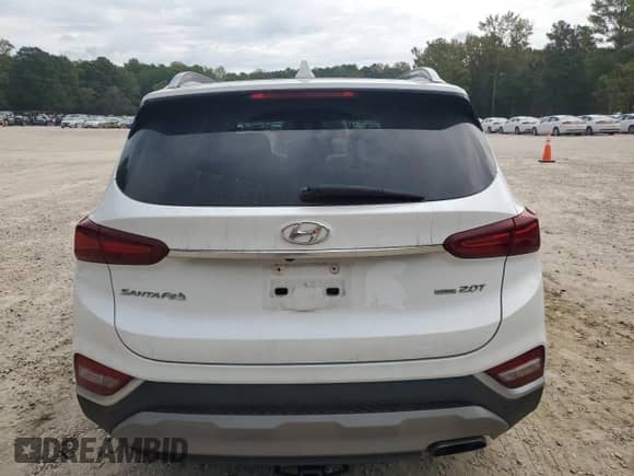 2019 Hyundai Santa Fe Limited with VIN 5NMS5CAA7KH016993, listed as a Copart auction lot 81120725 with 119,440 mi miles and Clean title. Bid and sale history available at DreamBid. Image 6.