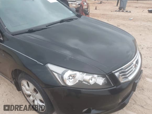 ✅ 2010 Honda Accord EX-L • VIN: 1HGCP3F89AA011860 • Lot: 43736906. Wystawiony na IAAI z przebiegiem 219 467 mil. Bezpłatny archiwum sprzedaży aukcyjnych z USA i szczegółowy raport historii pojazdu na DreamBid. Zdjęcie 6.