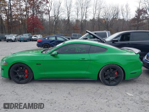 ✅ 2019 Ford Mustang GT Premium • VIN: 1FA6P8CF3K5156873 • Lot: 43633673. Wystawiony na IAAI z przebiegiem 30 947 mil. Bezpłatny archiwum sprzedaży aukcyjnych z USA i szczegółowy raport historii pojazdu na DreamBid. Zdjęcie 14.