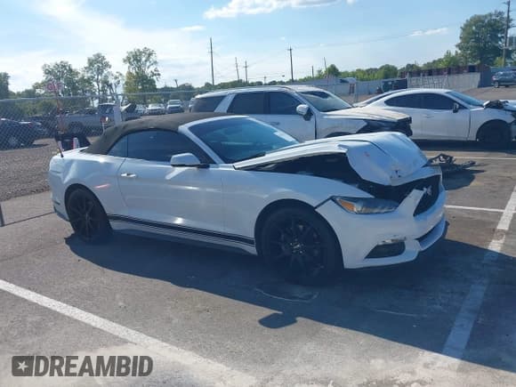 ✅ 2016 Ford Mustang EcoBoost Premium • VIN: 1FATP8UH6G5253611 • Lot: 43107418. Wystawiony na IAAI z przebiegiem 134 471 mil. Bezpłatny archiwum sprzedaży aukcyjnych z USA i szczegółowy raport historii pojazdu na DreamBid. Zdjęcie 13.