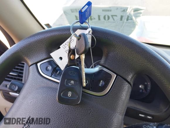 ✅ 2010 Hyundai Santa Fe GL • VIN: 5NMSG3AB6AH386284 • Lot: 41701464. Listed on IAAI with 85,861 mi. Free auction sales archive from the USA and detailed vehicle history report at DreamBid. Image 11.