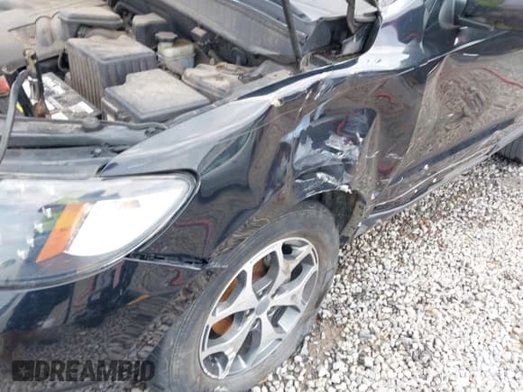 ✅ 2009 Hyundai Santa Fe SE • VIN: 5NMSH13E09H288324 • Lot: 42783569. Listed on IAAI with 251,737 mi. Free auction sales archive from the USA and detailed vehicle history report at DreamBid. Image 6.