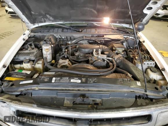 1996 Chevrolet Blazer z VIN 1GNDT13W7T2212358, wystawiony jako Copart lot #88707475 z przebiegiem 255 282 mil mil oraz Szkoda całkowita • Salvage title. Historia ofert i sprzedaży dostępna na DreamBid. Obrazek 12.