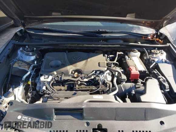 ✅ 2023 Toyota Camry LE • VIN: 4T1C11BK5PU088041 • Lot: 43689403. Listed on IAAI with 55,570 mi. Free auction sales archive from the USA and detailed vehicle history report at DreamBid. Image 10.