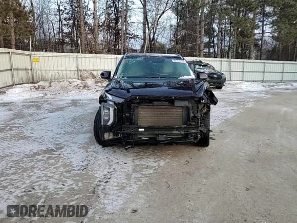 ✅ 2020 Hyundai Palisade Limited • VIN: KM8R5DHE1LU084418 • Лот: 88751715. Опубликован ранее на Copart с пробегом 48 767 миль. Бесплатный доступ к архиву аукционных продаж из США и подробный отчёт об истории автомобиля на DreamBid. Изображение 11.