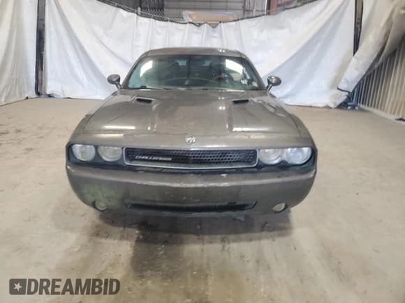 ✅ 2009 Dodge Challenger SE • VIN: 2B3LJ44V49H522034 • Lot: 48802725. Wystawiony na Copart z przebiegiem Nie podano. Bezpłatny archiwum sprzedaży aukcyjnych z USA i szczegółowy raport historii pojazdu na DreamBid. Zdjęcie 5.