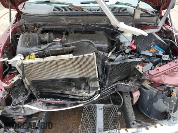 2002 Dodge 1500 z VIN 1D7HA16N22J194851, wystawiony jako Copart lot #83075774 z przebiegiem Nie podano mil oraz Czysty tytuł • Clean title. Historia ofert i sprzedaży dostępna na DreamBid. Obrazek 11.