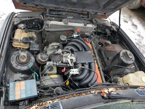 ✅ 1989 BMW 3 Series • VIN: WBAAE0302KED52374 • Lot: 88331485. Listed on Copart with Not provided. Free auction sales archive from the USA and detailed vehicle history report at DreamBid. Image 11.