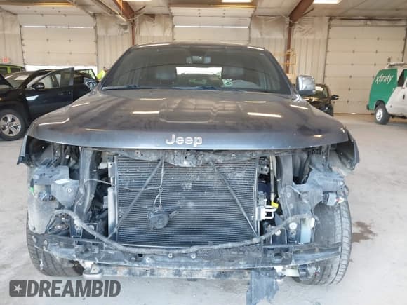 ✅ 2018 Jeep Grand Cherokee High Altitude • VIN: 1C4RJFCG6JC504276 • Лот: 42995941. Опубликован ранее на IAAI с пробегом 132 852 миль. Бесплатный доступ к архиву аукционных продаж из США и подробный отчёт об истории автомобиля на DreamBid. Изображение 6.