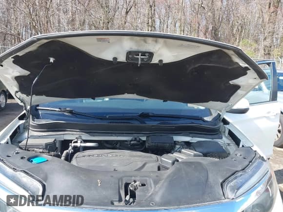 ✅ 2017 Honda Pilot EX-L • VIN: 5FNYF6H71HB061036 • Lot: 41891446. Listed on IAAI with 194,566 mi. Free auction sales archive from the USA and detailed vehicle history report at DreamBid. Image 10.