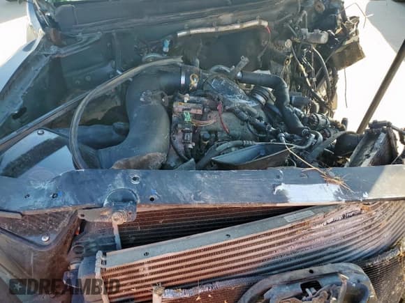 ✅ 2007 Chevrolet Silverado 2500HD 1LT • VIN: 1GCHK23687F560820 • Lot: 68724555. Wystawiony na Copart z przebiegiem Nie podano. Bezpłatny archiwum sprzedaży aukcyjnych z USA i szczegółowy raport historii pojazdu na DreamBid. Zdjęcie 11.