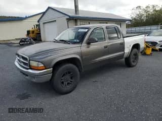 2002 Dodge Dakota SLT z VIN 1B7HG48N92S640009, wystawiony jako Copart lot #86245995 z przebiegiem 180 480 mil mil oraz Szkoda całkowita • Salvage title. Historia ofert i sprzedaży dostępna na DreamBid. Obrazek 1.