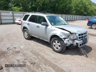✅ 2009 Ford Escape XLT • VIN: 1FMCU03G59KB39547 • Лот: 42881023. Опубликован ранее на IAAI с пробегом 247 393 миль. Бесплатный доступ к архиву аукционных продаж из США и подробный отчёт об истории автомобиля на DreamBid. Изображение 1.