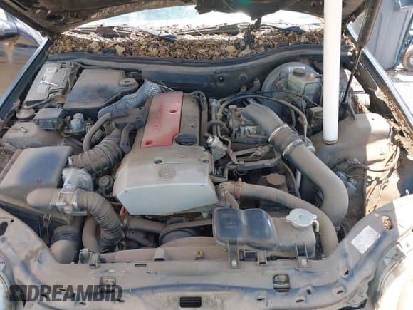 ✅ 1999 Mercedes-Benz SLK 230/320 • VIN: WDBKK47F8XF124902 • Lot: 42883499. Wystawiony na IAAI z przebiegiem 173 522 mil. Bezpłatny archiwum sprzedaży aukcyjnych z USA i szczegółowy raport historii pojazdu na DreamBid. Zdjęcie 10.