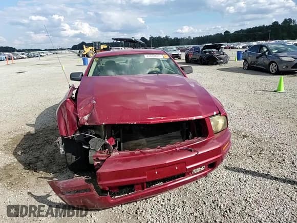 ✅ 2009 Ford Mustang GT • VIN: 1ZVHT82H495102748 • Lot: 81462025. Listed on Copart with 188,368 mi. Free auction sales archive from the USA and detailed vehicle history report at DreamBid. Image 13.