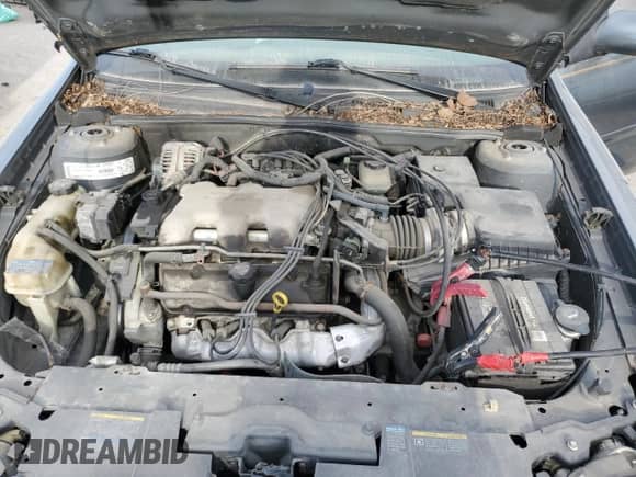 2003 Chevrolet Malibu LS with VIN 1G1NE52J13M668115, listed as a Copart auction lot 67081594 with 146,483 mi miles and Salvage title. Bid and sale history available at DreamBid. Image 13.