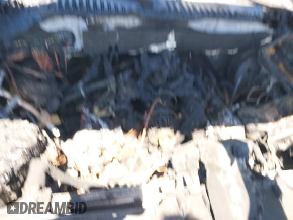 ✅ 2009 Ford Expedition Eddie Bauer • VIN: 1FMFU18589LA12389 • Лот: 41824406. Опубликован ранее на IAAI с пробегом Не указан. Бесплатный доступ к архиву аукционных продаж из США и подробный отчёт об истории автомобиля на DreamBid. Изображение 10.