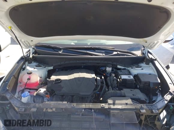 ✅ 2025 Hyundai Tucson SEL • VIN: 5NMJB3DE2SH495004 • Lot: 43651320. Listed on IAAI with 25,130 mi. Free auction sales archive from the USA and detailed vehicle history report at DreamBid. Image 10.