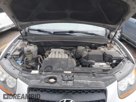 ✅ 2009 Hyundai Santa Fe GLS • VIN: 5NMSG13D99H323565 • Lot: 43534027. Wystawiony na IAAI z przebiegiem 157 196 mil. Bezpłatny archiwum sprzedaży aukcyjnych z USA i szczegółowy raport historii pojazdu na DreamBid. Zdjęcie 10.