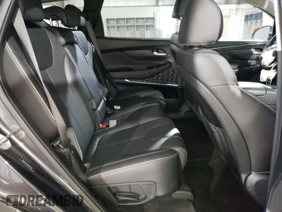 ✅ 2021 Hyundai Santa Fe SEL • VIN: 5NMS3DAJ5MH339163 • Lot: 43904523. Wystawiony na Copart z przebiegiem 19 283 mil. Bezpłatny archiwum sprzedaży aukcyjnych z USA i szczegółowy raport historii pojazdu na DreamBid. Zdjęcie 11.