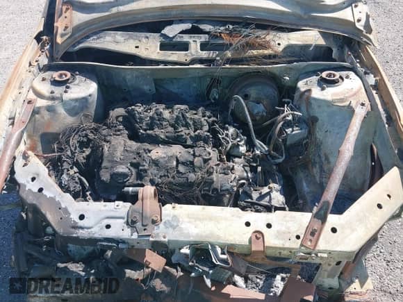 2016 Chevrolet Impala Police Police with VIN 2G1WD5E31G1129323, listed as a IAAI auction lot 41704152 with Not provided miles and . Bid and sale history available at DreamBid. Image 10.