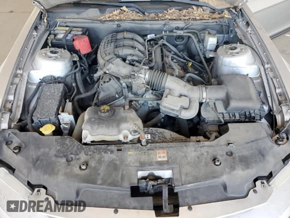 ✅ 2012 Ford Mustang Premium • VIN: 1ZVBP8AM2C5225125 • Lot: 86288375. Listed on Copart with 102,621 mi. Free auction sales archive from the USA and detailed vehicle history report at DreamBid. Image 11.