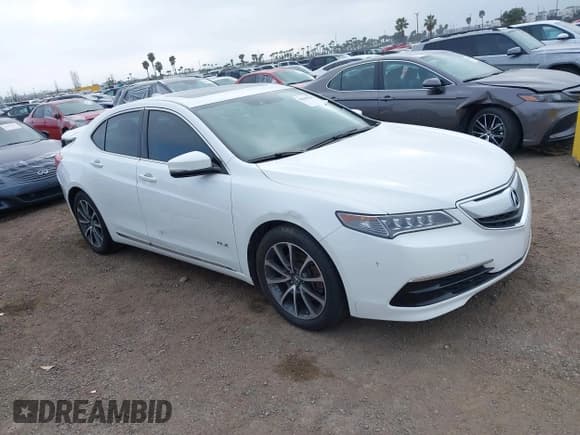 ✅ 2016 Acura TLX Technology • VIN: 19UUB2F54GA008487 • Лот: 41865204. Опубликован ранее на IAAI с пробегом 75 597 миль. Бесплатный доступ к архиву аукционных продаж из США и подробный отчёт об истории автомобиля на DreamBid. Изображение 1.