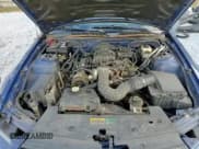 ✅ 2008 Ford Mustang • VIN: 1ZVH80N485162908 • Лот: 84548294. Опубликован ранее на Copart с пробегом 140 215 миль. Бесплатный доступ к архиву аукционных продаж из США и подробный отчёт об истории автомобиля на DreamBid. Изображение 13.