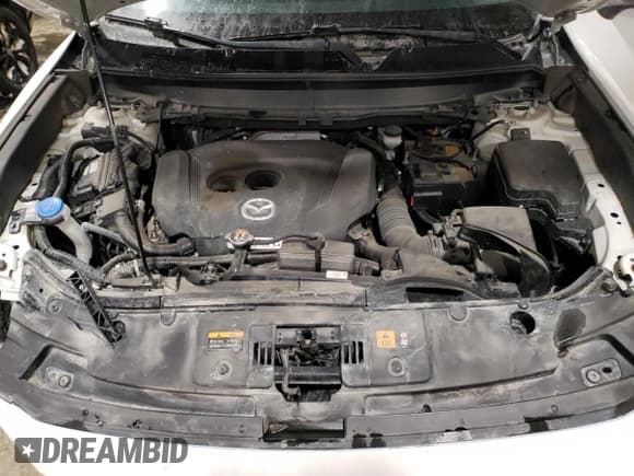 ✅ 2020 Mazda CX-9 Sport • VIN: JM3TCBBY7L0410292 • Lot: 42174323. Wystawiony na Copart z przebiegiem 15 043 mil. Bezpłatny archiwum sprzedaży aukcyjnych z USA i szczegółowy raport historii pojazdu na DreamBid. Zdjęcie 11.