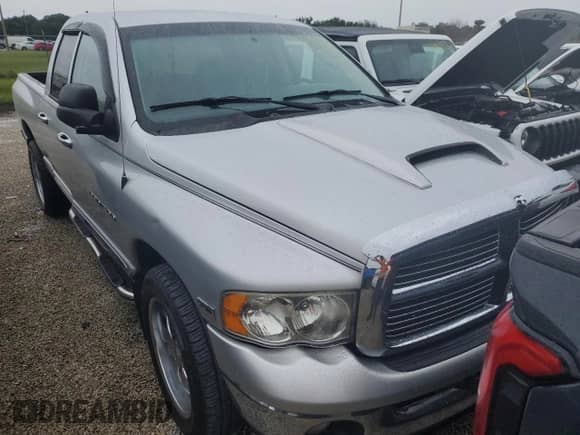 2004 Dodge 1500 SLT с VIN 1D7HA18D04S736126, выставлен на аукционе Copart как лот 73886814 с пробегом 130 689 миль миль и Списание • Salvage title. История ставок и продаж доступна на DreamBid. Изображение 5.
