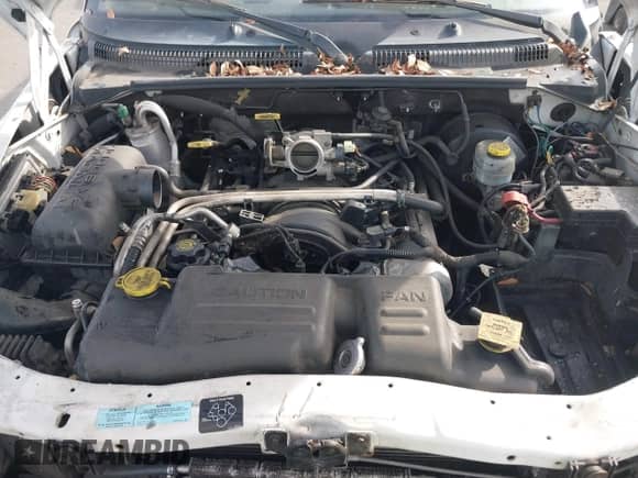 ✅ 2000 Dodge Dakota Sport • VIN: 1B7GL2AN8YS654014 • Лот: 41470554. Размещён на IAAI с пробегом 181 931 миль миль. Получите бесплатный доступ к архиву аукционных продаж из США и посмотрите подробный отчёт об истории автомобиля на DreamBid. Изображение 10.