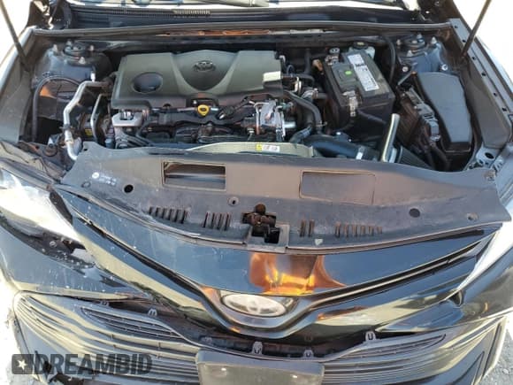 ✅ 2018 Toyota Camry LE • VIN: JTNB11HK8J3058631 • Lot: 81115555. Listed on Copart with 123,076 mi. Free auction sales archive from the USA and detailed vehicle history report at DreamBid. Image 11.