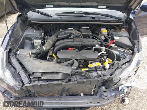 ✅ 2016 Subaru Impreza Special Sports Premium • VIN: JF1GPAP6XGH237901 • Lot: 42976154. Listed on IAAI with 47,206 mi. Free auction sales archive from the USA and detailed vehicle history report at DreamBid. Image 10.