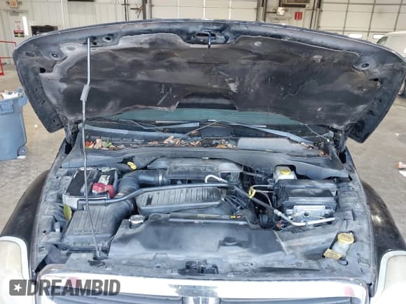 ✅ 2004 Dodge Durango Limited • VIN: 1D4HB58DX4F214730 • Лот: 43560328. Опубликован ранее на IAAI с пробегом 274 961 миль. Бесплатный доступ к архиву аукционных продаж из США и подробный отчёт об истории автомобиля на DreamBid. Изображение 10.