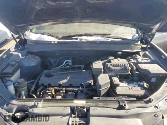 ✅ 2011 Hyundai Santa Fe GLS • VIN: 5XYZG3AB9BG007756 • Лот: 84663654. Опубликован ранее на Copart с пробегом 126 657 миль. Бесплатный доступ к архиву аукционных продаж из США и подробный отчёт об истории автомобиля на DreamBid. Изображение 12.