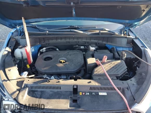 2019 Hyundai Tucson SE with VIN KM8J23A42KU962972, listed as a Copart auction lot 81912205 with 64,142 mi miles and Salvage title. Bid and sale history available at DreamBid. Image 12.