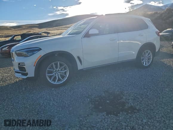 ✅ 2020 BMW X5 xDrive40i • VIN: 5UXCR6C03L9B31958 • Lot: 85438465. Wystawiony na Copart z przebiegiem 113 894 mil. Bezpłatny archiwum sprzedaży aukcyjnych z USA i szczegółowy raport historii pojazdu na DreamBid. Zdjęcie 1.