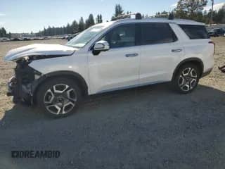 2023 Hyundai Palisade SEL with VIN KM8R4DGE5PU492284, listed as a Copart auction lot 86311915 with 28,219 mi miles and Salvage title. Bid and sale history available at DreamBid. Image 1.