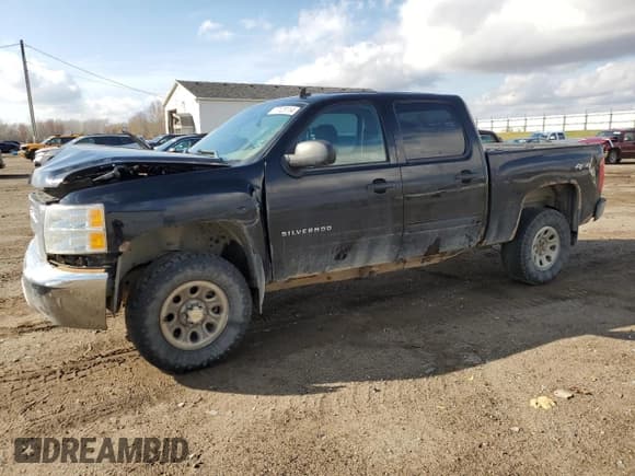 ✅ 2013 Chevrolet Silverado 1500 LS • VIN: 3GCPKREAXDG307997 • Lot: 77128114. Listed on Copart with 195,403 mi. Free auction sales archive from the USA and detailed vehicle history report at DreamBid. Image 1.