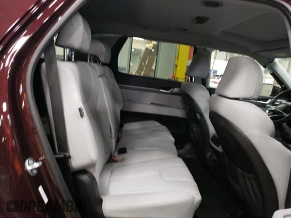 ✅ 2023 Hyundai Palisade SEL • VIN: KM8R4DGE8PU635082 • Lot: 84192174. Wystawiony na Copart z przebiegiem 15 921 mil. Bezpłatny archiwum sprzedaży aukcyjnych z USA i szczegółowy raport historii pojazdu na DreamBid. Zdjęcie 11.