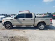 ✅ 2009 Ford F-150 XL • VIN: 1FTPW14V69FA94565 • Lot: 43018967. Wystawiony na IAAI z przebiegiem 356 935 mil. Bezpłatny archiwum sprzedaży aukcyjnych z USA i szczegółowy raport historii pojazdu na DreamBid. Zdjęcie 14.